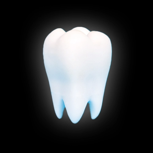 D illustration showing the precise application of porcelain veneers to natural teeth.